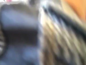 Perky tits latina girlfriend Sh ... free