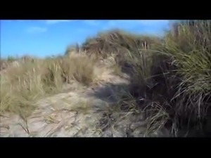Beach Tubes from XTube, xHamster, Beeg, Hardsextube Beach Tubes from XTube, xHamster, Beeg, Hardsextube